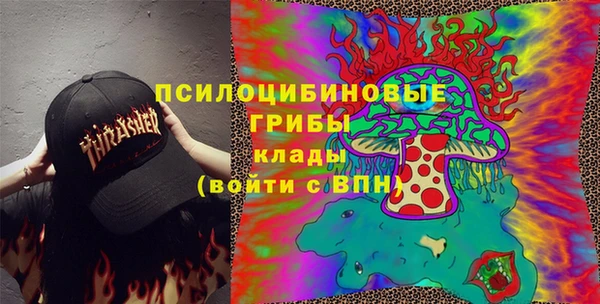 гидра Краснослободск