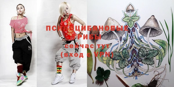 apvp Корсаков