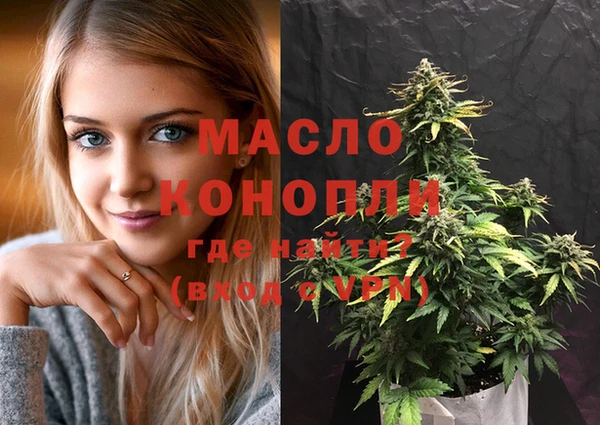 гидра Краснослободск