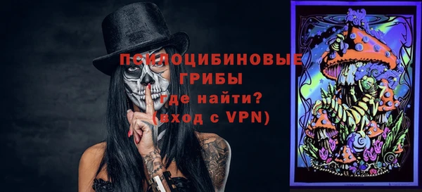 apvp Корсаков