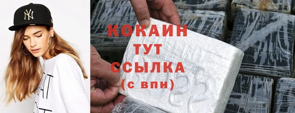 гидра Краснослободск